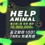 (사)동물보호단체 헬프애니멀, 자체 예산으로 길고양이 100마리 중성화사업 TNR시 치료 지원
