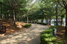 [골목골목 인천이야기] 도시재생·웹게임·음악의 만남 서구 가좌이음숲