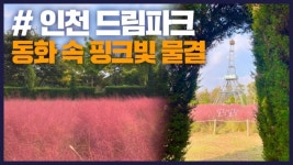 [잇츠GO] 넘실넘실 핑크뮬리와 함께하는 가을동화 속 산책