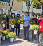 안산시 초지동 둔배미마을 파도 공원에 국화, 왕수선화 등 가을꽃 구경 오세요