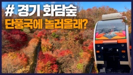 화담숲 언제가 제일 예뻐? 단풍절정 예매팁 [잇츠GO]