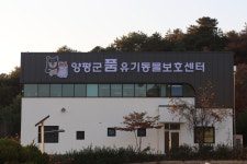 새단장한 양평유기동물보호소 품, 동물 복지의 새 차원 연다