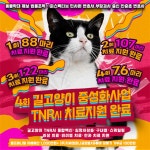 (사)동물보호단체 헬프애니멀, 제4회 길고양이 중성화사업 TNR시 치료지원 76마리 완료