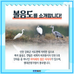 [카드뉴스]볼매 인천 볼음도 이만한 생태 여행지 없네~