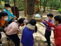 안양시, 내달부터 산림체험 프로그램 운영…사전예약 개시