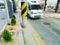 운전자 위협 시흥 차도변 전봇대 옮긴다