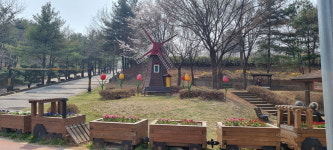 안산시 고잔동, 동 청사와 원고잔공원 앞 화단에 팬지 등 봄꽃 심어