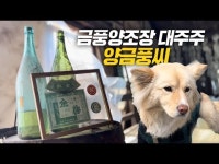 막걸리 사면 쌀 포대를 드려요…금풍양조장 [잇츠GO]