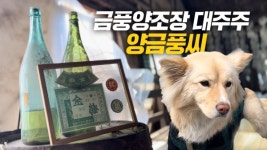 막걸리 사면 쌀 포대를 드려요…금풍양조장 [잇츠GO]