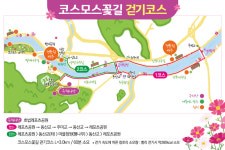 이천시,  제2회 호법의 숲 코스모스길 걷기대회 개최