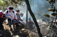 [포토] 옹진 대청리 일대 산불 진화