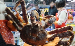 [포토] "킹크랩 풍년이요"