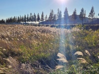 안산 바다향기테마파크 조형물 설치 가능