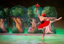 뮤지컬+발레 만남…환상속으로