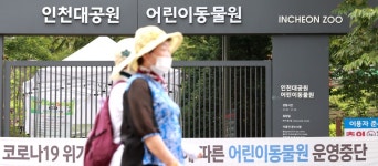 [단독] 합격 통보 34명 1시간 만에 불합격 날벼락...인천대공원 측 실수