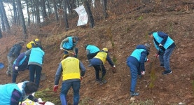 안산 이동, 구룡공원 둘레길에 편백 1500그루 식재