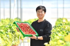 올해 첫 수확 안성 딸기 맛 보세요