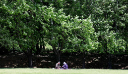 [포토] 노부부의 한가로운 오후