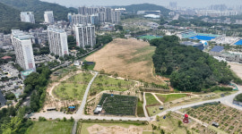 선학 어반포레스트 조성 사업, 맹꽁이에 발목
