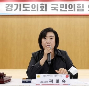 경기도의회 국민의힘 대표의원 '3파전'