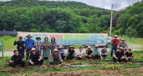 안양범죄피해자지원센터, 일상회복 치유 힐링팜 감자 수확