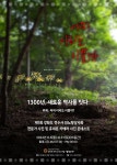 정수사, 진노랑상사화 사진 콘테스트 대회 연기…내달 5일부터 28일간 진행