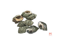 [섬이 차려준 밥상] 8. 문갑도 갱국