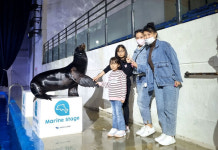 [함박스탄] ⑤ 30대에 처음 쓰는 자서전