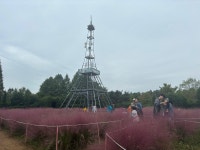 다음에 또 오고 싶어요...2024 드림파크 국화축제 북적