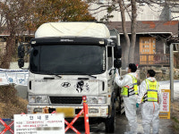 [르포] 우리 닭이 병든 것도 아닌데…강화 곳곳서 살처분