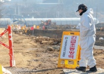 연봉·승진 제한…가축방역관 부족 쳇바퀴