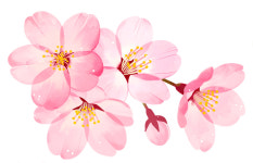 [수원 특집] 수원 관광 브랜드 요새 화성, 요즘 행궁