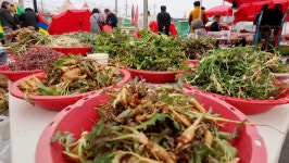 향긋한 봄나물 왔어요 인천 강화 풍물시장, 봄 기운에 북적