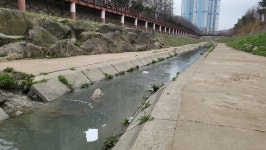 악취 갯골수로, 복개냐 존치냐