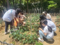 서울대 약초원 약용식물 4년째 고양시 학교 분양