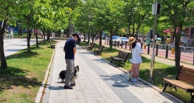 [성남 소식] 성남시, 반려동물 문제 행동 1대1 무료 상담