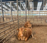 김포 농가·중소기업 전기요금 폭등에 비명…대책 시급