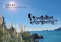 사진과 캘리그래피의 콜라보