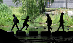 [포토] 폭염 피해 그늘로