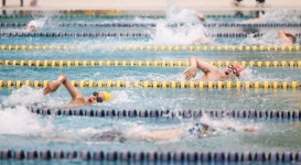 인천시교육청, 제9회 교육감배 초등학생 수영대회 성료