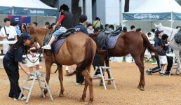 한국마사회, 19∼20일 과천시민공원서 승마축제