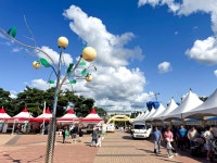 이천시, 햇사레 장호원 복숭아축제 성⋯매출 5억5000만원 대박