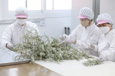 [경기도 기업융합 현장을 가다] 2. ㈜꽃을담다