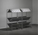 서로 다른 존재와 함께사는 것…共生의 미학