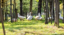 서구 뷰티풀파크관리공단, 오폐수 처리 능력 핵심…환경 기술 고도화 매진