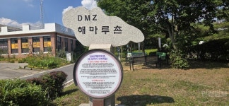 [민통선 르포] 전진교 너머, 시간이 멈춘 땅을 걷다