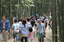 담양 에코포럼, 그린 담양 대표 브랜드로 키운다