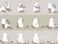 자려면 아이라인 지우고&#12539;&#12539;&#12539;팬더의 정체