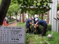 오래된 주유소 토양오염, 기준치 최대 18배 초과