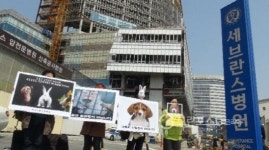 동물보호연합, 세브란스병원 동물실험 연구기관 맹비난
